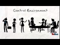 Internal Controls by Bidora Zabin