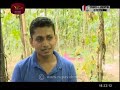 mihikatha-dinuwo-20-09-2019