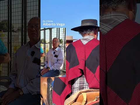 Virgen de los Desamparados - La Calera - Región de Valparaíso.