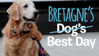 Last 9/11 Search and Rescue Dog Bretagne Comes Back to NYC | DOGS BEST DAY!