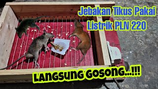 Download lagu Cara Membuat Jebakan Tikus Listrik PLN 220 Volt mp3