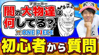 【 ワンピース 】闇の帝王達って何してるの…!? ワンピ初心者の星さんの疑問に答えてみた結果！ONE PIECE