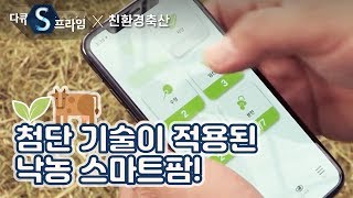 첨단 ICT가 접목된 낙농 스마트팜 [친환경 축산] / YTN사이언스