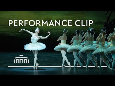Swan Lake with Olga Smirnova, Constantine Allen and Corps de Ballet | Dutch National Ballet