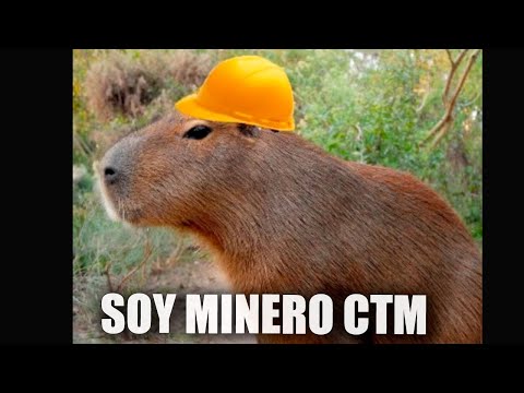 EL CARPINCHO MINERO! Lo Mejor del GOTH 308 en Español - GOTH