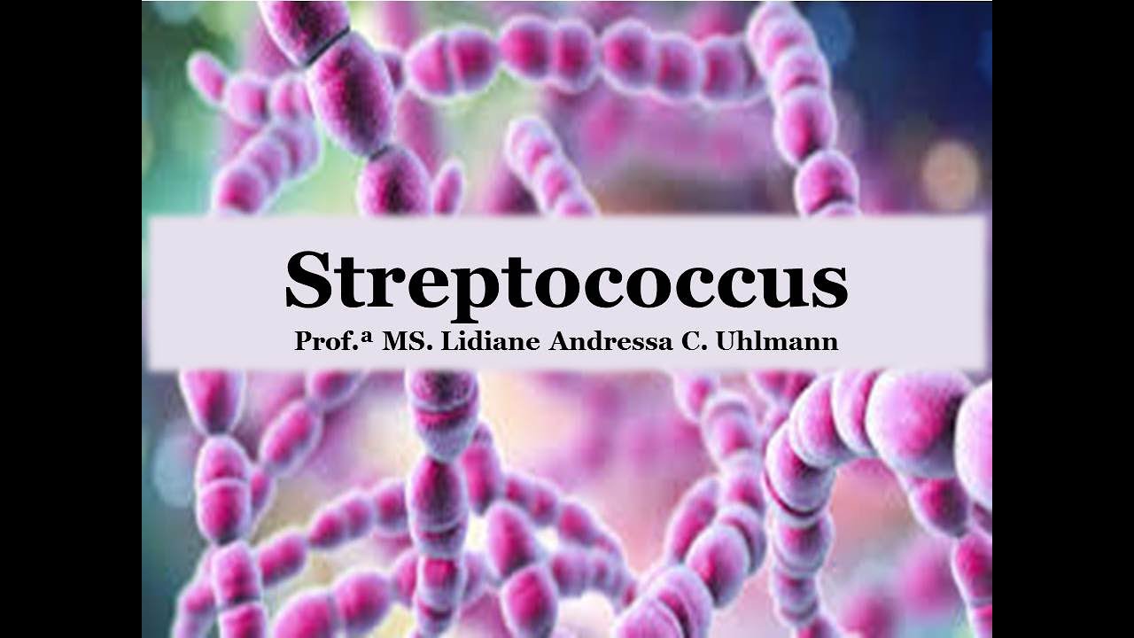 Streptococcus - Bacteriologia Clínica