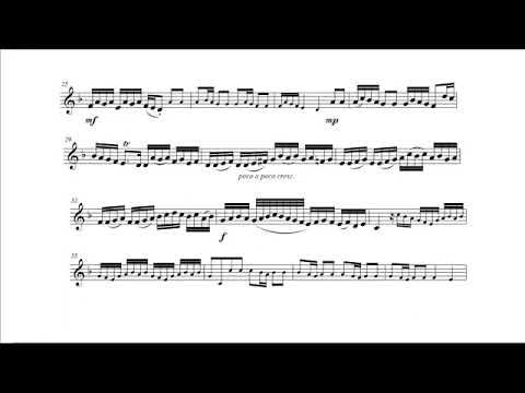 J S  Bach  Concerto BWV 972 Matthias Höfs, trumpet I