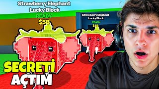 KARDEŞİM OKULA GİTTİ HERŞEYİNİ ÇALDIM😅- Roblox Steal A Brainrot