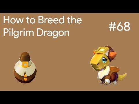 How to Breed the Pilgrim Dragon | DML Breeding Guide #68
