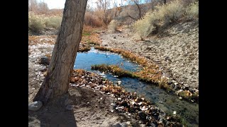 sia, zero 7 &quot;throw it all away&quot;