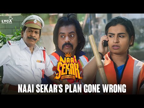 Naai Sekar's Plan Gone Wrong | Naai Sekar Returns Movie Scenes | Vadivelu | Sivaangi | Kingsley