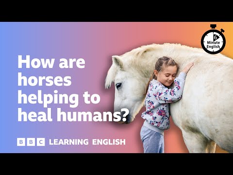 馬匹如何療癒人類？ ⏲️ 6分鐘學英文 (How are horses helping to heal humans? ⏲️ 6 Minute English)