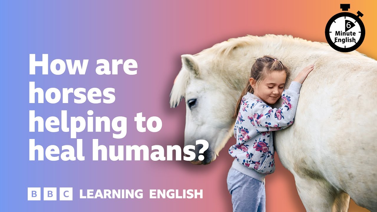 How are horses helping to heal humans? ⏲️ 6 Minute English - YouTube video featuring the word but for