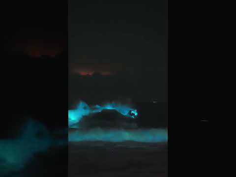 El increíble video de un surfista de Maldonado en Manantiales que recorre el mundo