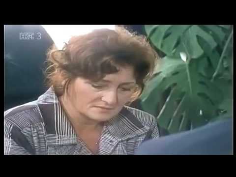 Dosije 2 epizoda   Domaca serija