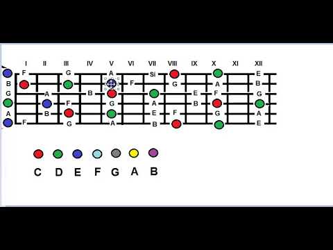 notas de color para aprendérselas