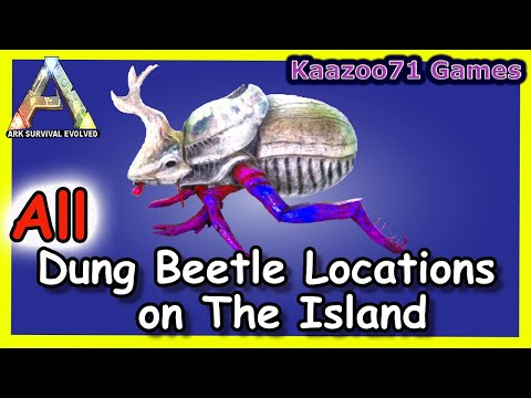 Dung Beetle Locations on The Island Ark 💥