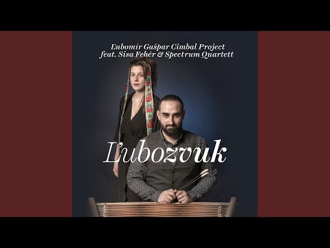 Leťela husička (feat. Jakub Tököly, Peter Korman, Kristián Kuruc & Sisa Fehér)