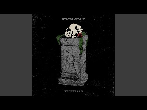 Gut Rot video