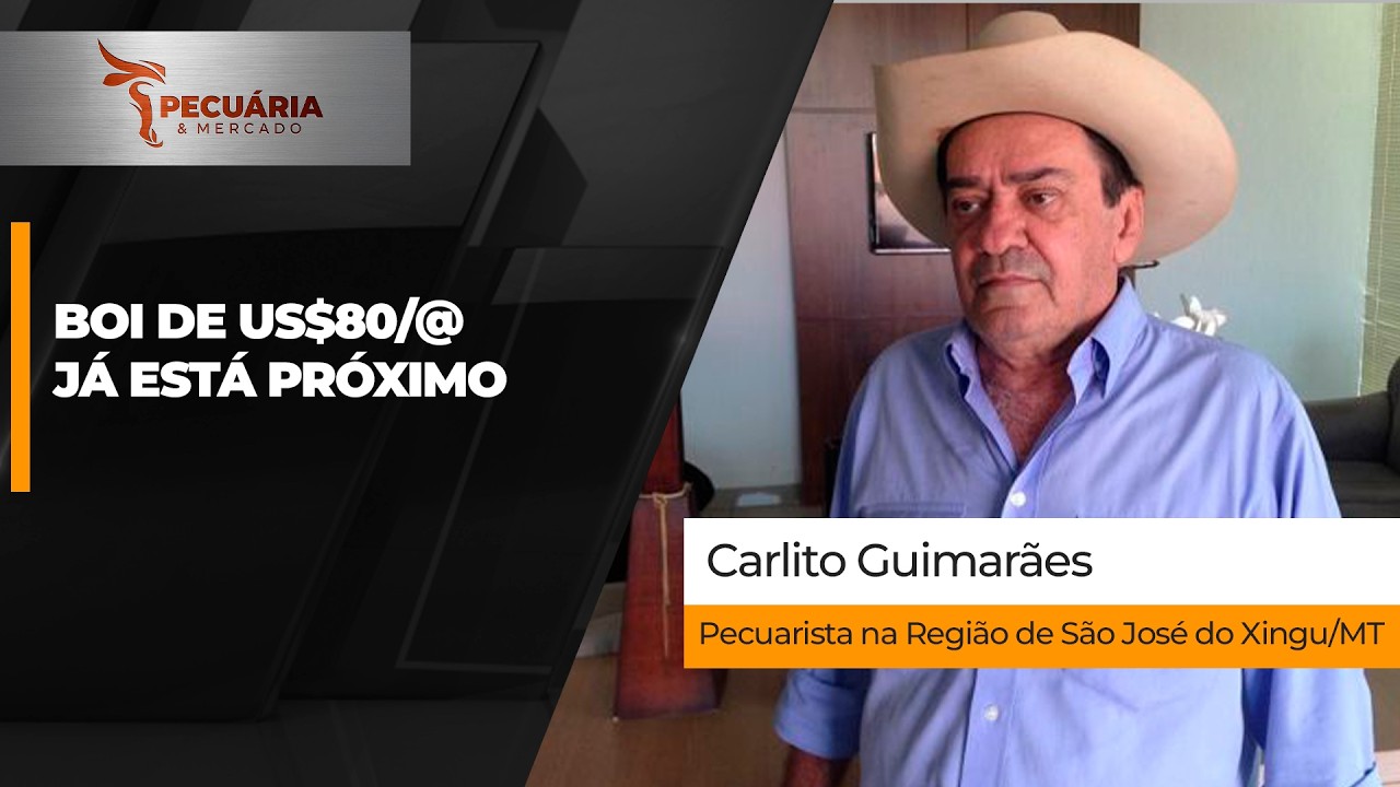Depois de confirmar os US$70/@,  próximo alvo são os US$80/@ que deve acontecer em breve, projeta...