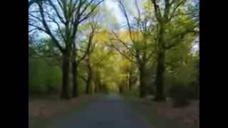 Roger Waters - What God Wants Pt. 3