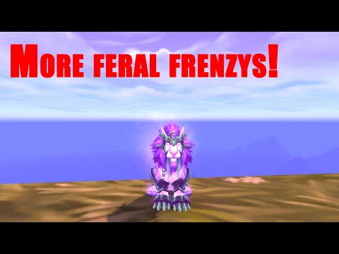 More feral frenzys - Feral druid pvp dragonflight 10.1.5