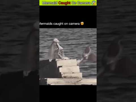 Mermaid Caught On Camera 😦📸. #shorts #ytshorts #shortvideo #facts #fact