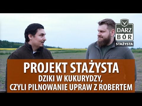 # 3 PROJEKT STAŻYSTA - Dziki w kukurydzy, czyli pilnowanie upraw z Robertem
