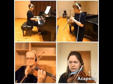 Telemann Concerto in a minor Adagio, performed by the MN Sinfonia