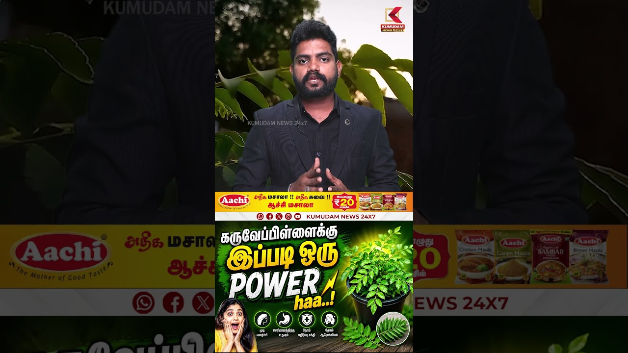 கருவேப்பிள்ளைக்கு இப்படி ஒரு POWER haa..! | Curry Leaves | Health Tips | Kumudam News கருவேப்பிள்ளைக்கு இப்படி ஒரு POWER haa..! | Curry Leaves | Health Tips | Kumudam News
