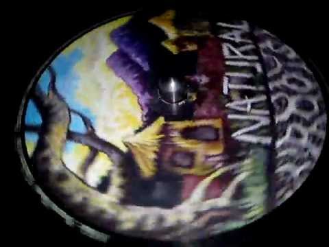 NATURAL ROOTS - CHILDREN OF JAH...