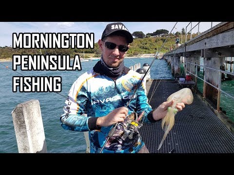 Fishing Mornington Peninsula