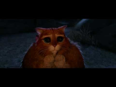 Chat potté [Shrek 4]