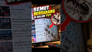 Semut Bisa Bersarang di Dalam TV?! 😱🐜 #Shorts
