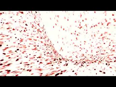 ❗FLASH WARNING❗Creeds   Push Up Luminatix Remix