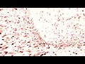 ❗FLASH WARNING❗Creeds   Push Up Luminatix Remix