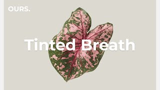 Download lagu Chillout House Mix | Deep Concentration for Work, Study & Productivity mp3