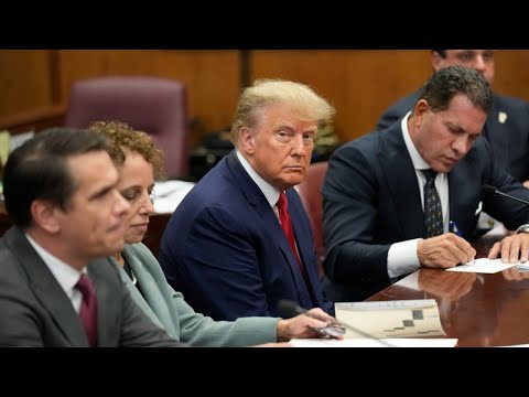 Donald Trump pleads not guilty to criminal charges