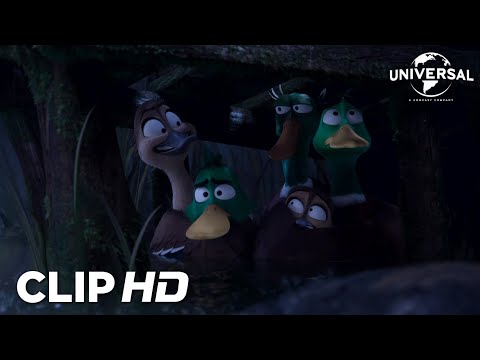 Clip - Los patos se esconden de una tormenta