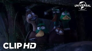 Clip - Los patos se esconden de una tormenta