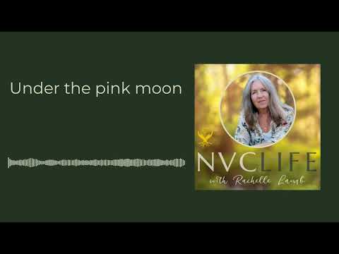 NVC Life with Rachelle Lamb - Under the pink moon