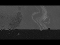 Taro - Sfumato (Album trailer) - Taro Taro - Sfumato (Album trailer)