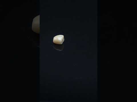YouTube 썸네일