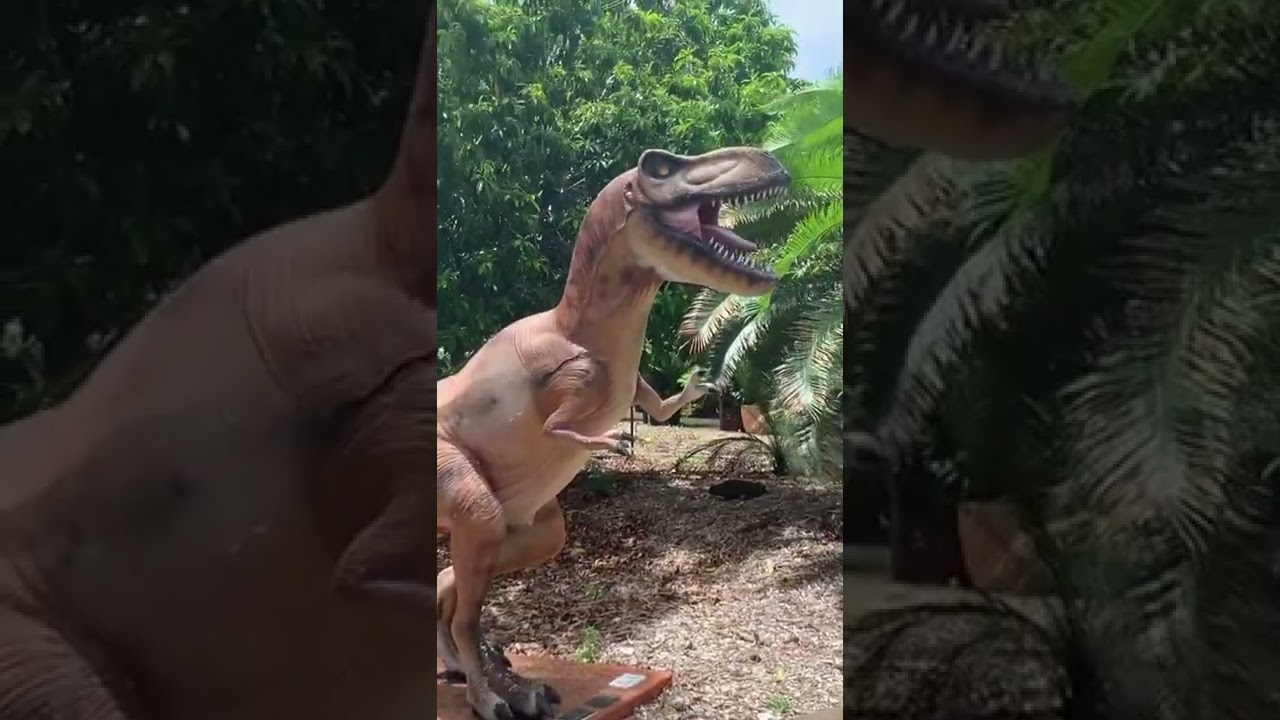 YouTube Short thumbnail