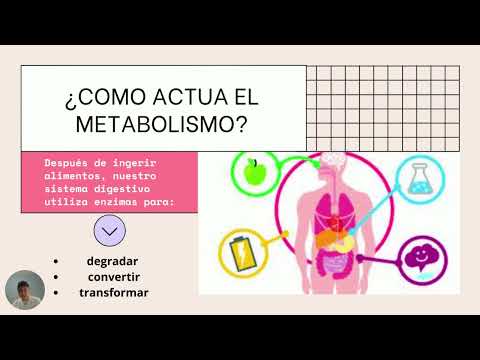 Metabolismo y utilización de sustratos del ejercicio