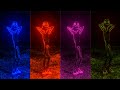 Alien Dance VS Funny Alien VS Dame Tu Cosita But Its Vocoded
