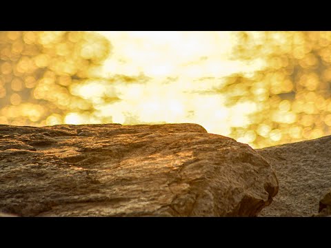 Chill play 23/1/2022