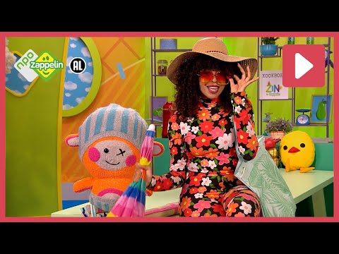 OP HET STRAND | Zin in Zappelin | NPO Zappelin