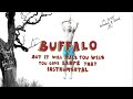 BUFFALO By Tyler The Creator But It Will Make You Wish You Gave Kanye That Instrumental