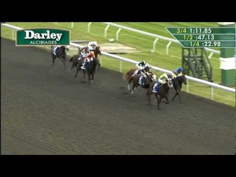 2012 Darley Alcibiades